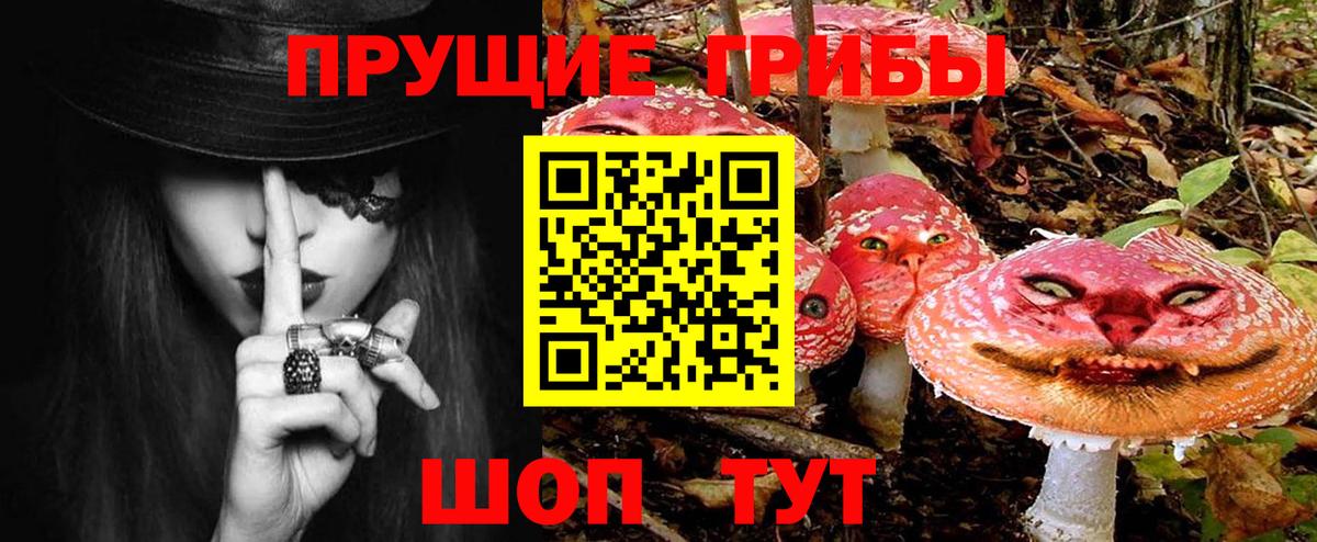Арсеньев  Галлюциногенные грибы ЛСД  Вход с VPN 